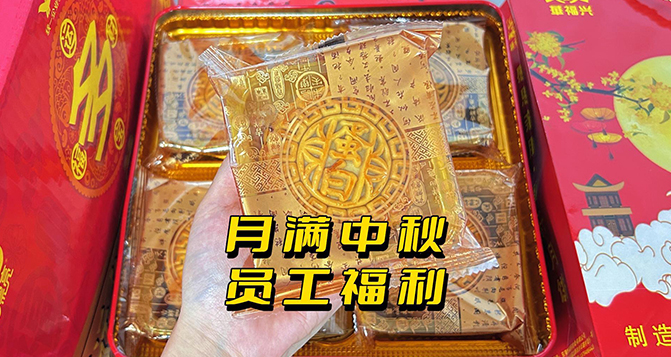 月圓人團圓，中秋員工活動樂翻天！